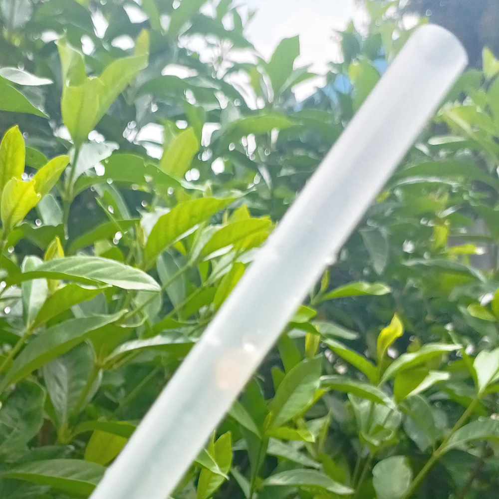 Disposable Hard Plastic Straws Coffee Boba Tea Juice Cups Colorful 19cm 21cm 23cm Fruit Drining Straws