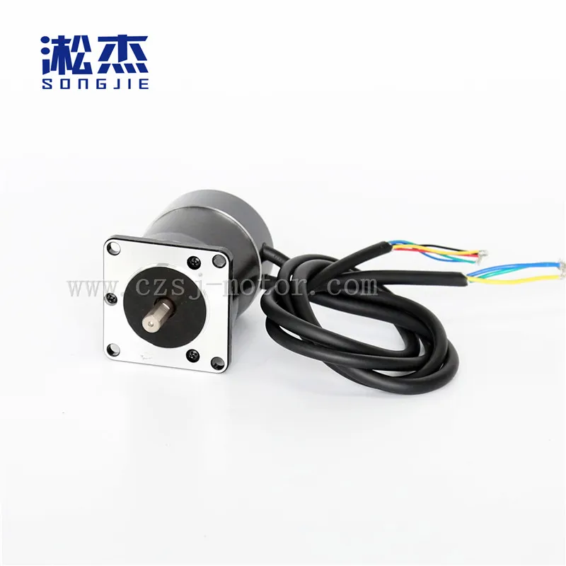 57 Series 48v High Power And High Torque Micro Motor Brushless Motor
