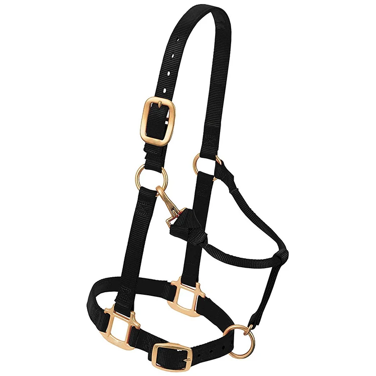 
High Comfort Equestrian Products Horse Halter, High quality Head collars wholesale Customized horse Nylon halter  (62318808300)