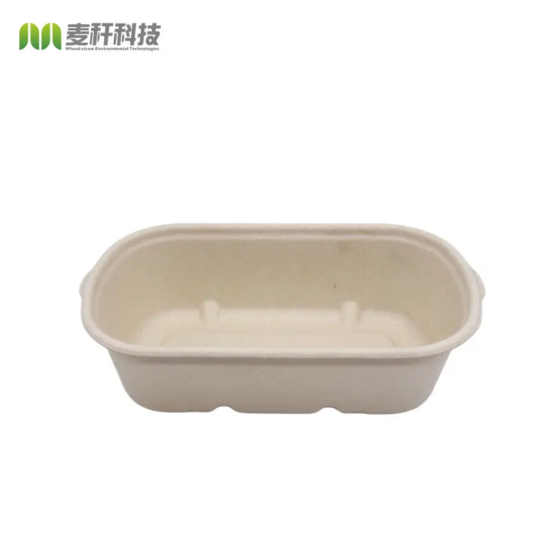 Disposable Biodegradable sugarcane bagasse pulp food container take away Lunch Box with lid