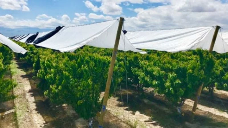 hot sell cheap price high quality black silver color rainproof waterproof PE Tarpaulin sheet