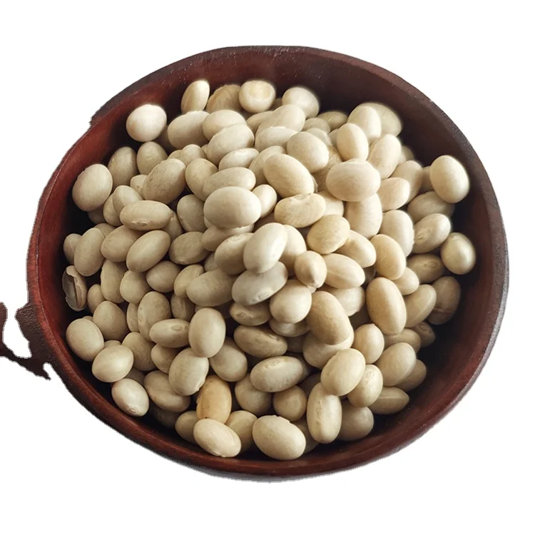 Origin Northeast China Low Price White Navy Kidney Beans