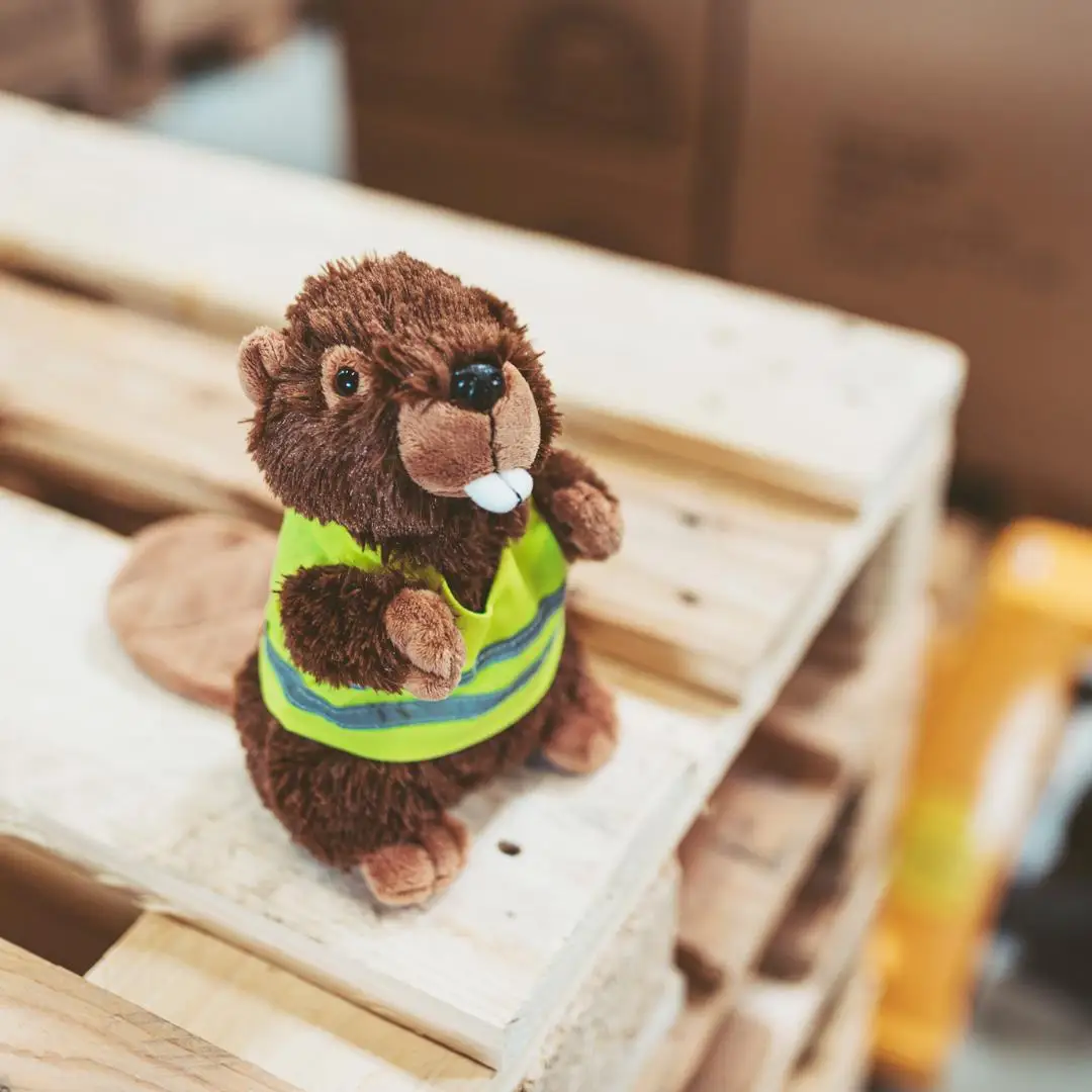 beaver 10-B