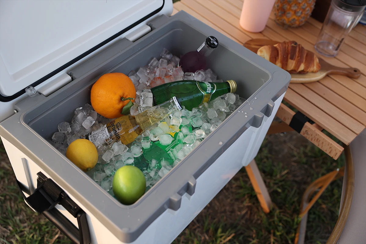Best selling Customized Eco Friendly 25L 50L Insulated Portable Hard Plastic Ice chest cooler box Supplier