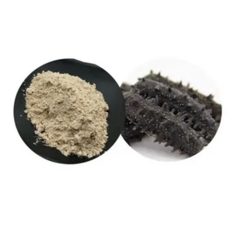 High quality Sea Cucumber Peptides powder 90% Sea Cucumber Extract healthcare supplement Sea Cucumber Peptides powder for sale