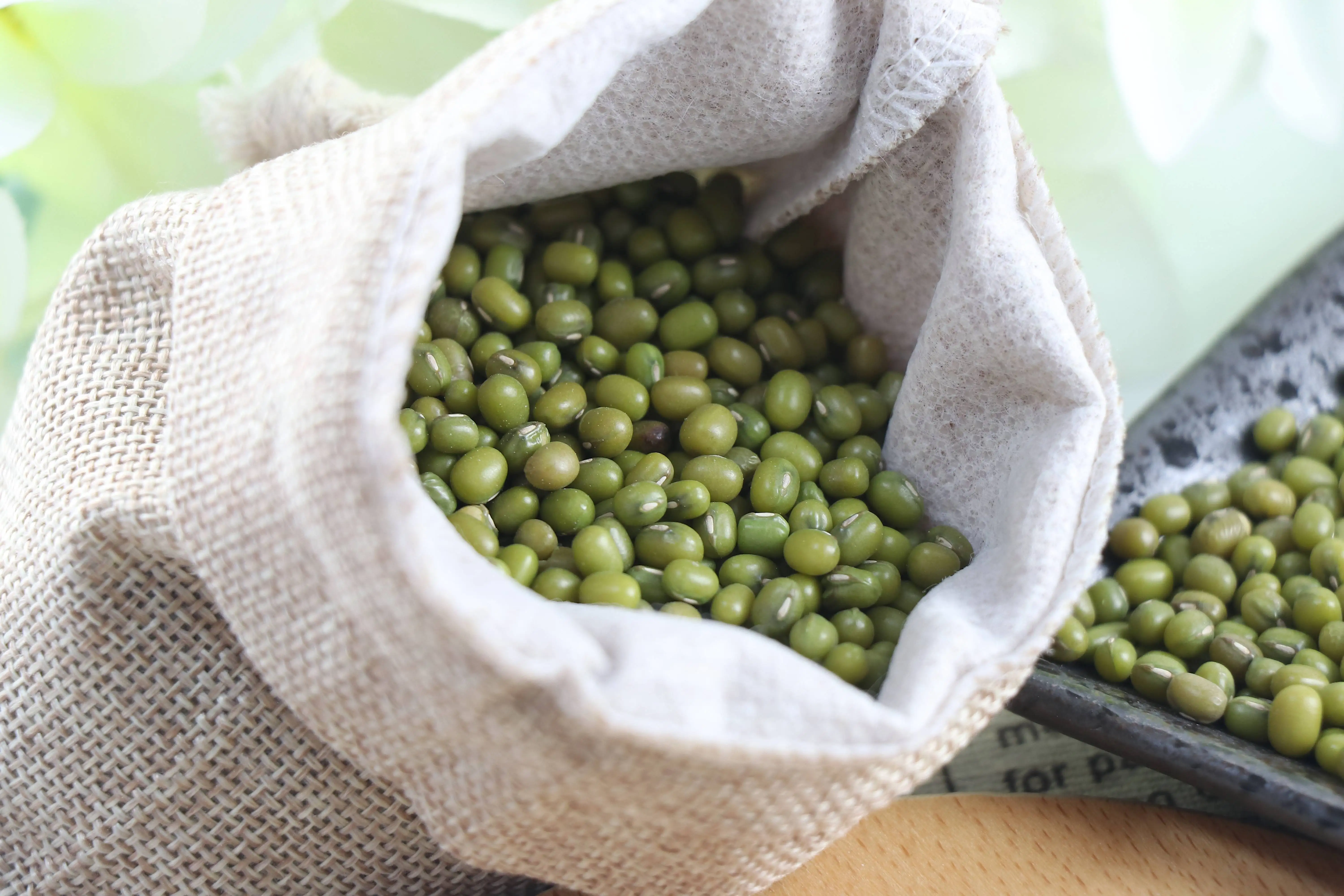 Factory Sale Various Lower Price Common Mung Beans Dried Mung Beans