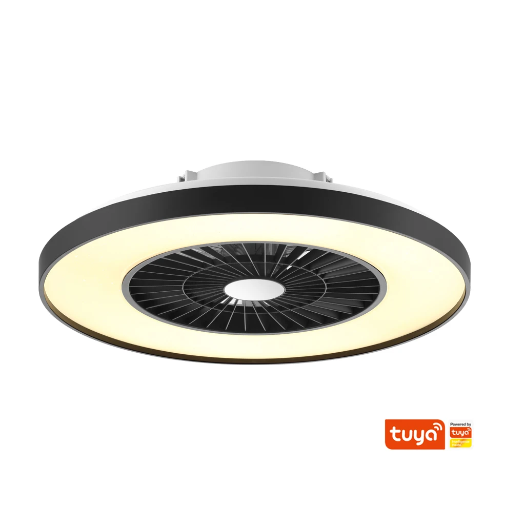 Wholesale Bladeless Led Lamp Smart Ceiling Light With Fan And Remote