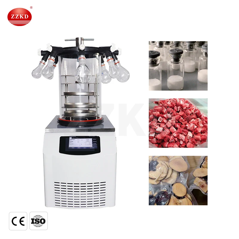 Manufacture Price FD-10N Benchtop Lab Home Use Freeze Dryer Lyophilizer for Sale