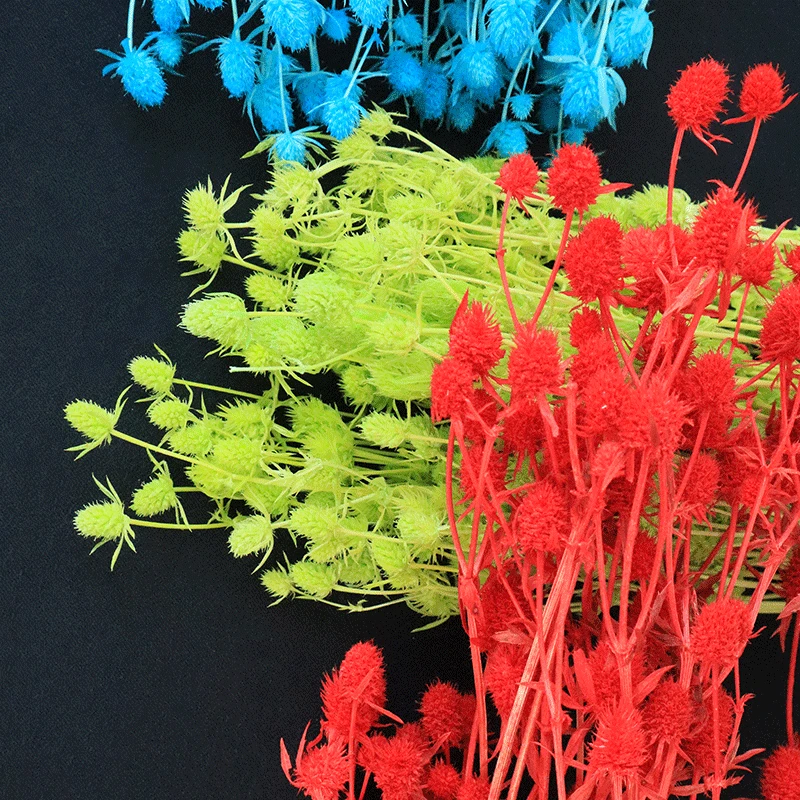 
2021 best popular long lasting flowers dried sea holly flowers in for flower arrangement 