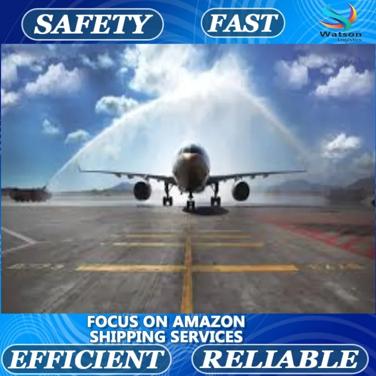 The best international shopping air and sea express DDU DDP freight forwarding company China to UAE Dubai sea freight rate agent