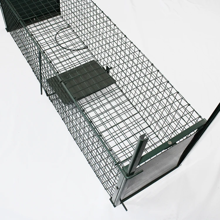 Chuanghui Sell Safe Foldable Pigeon Live Catch Release Animal Trap Cage