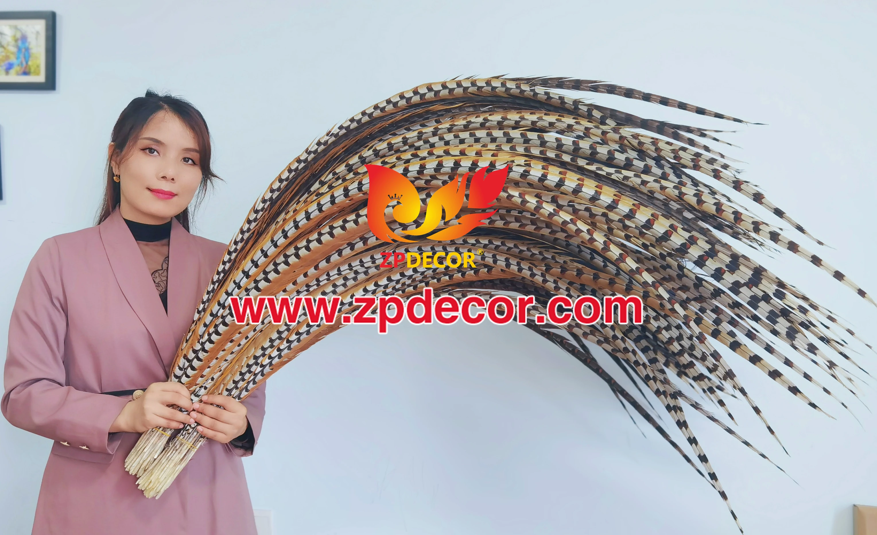 Оптовая продажа с завода ZPDECOR, супер длинные натуральные перья хвоста фазана для карнавала Майами бахамс янканоо