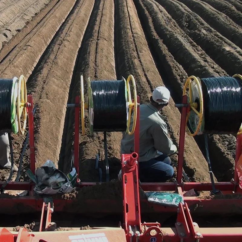 Pandora 2022 new agriculture drip irrigation 16mm flat dripper drip tape