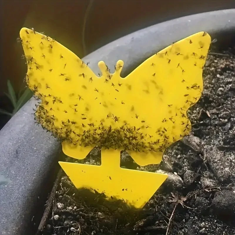 Double Sided Different Shape Super Sticky Insect Trap Yellow Sticky Trap