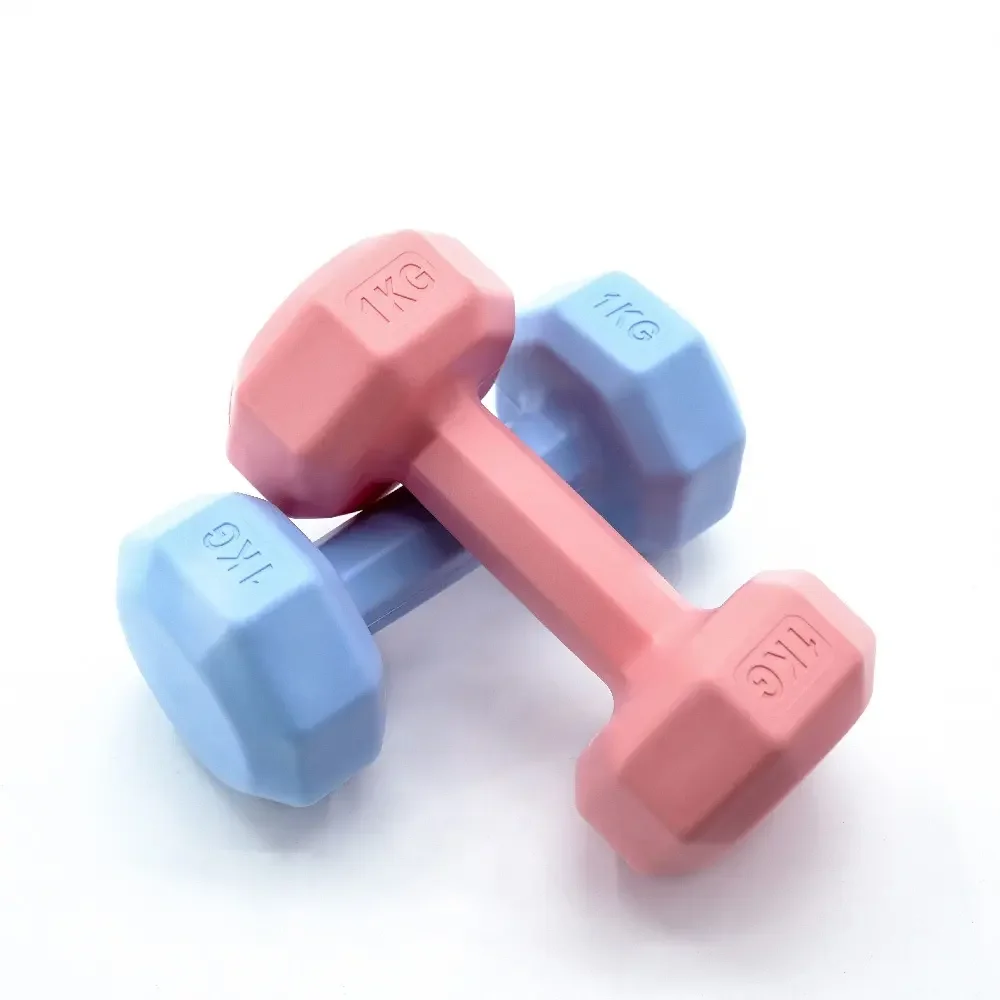 Wholesale Fitness Colourful Eco Friendly 1kg 1.5kg 2kg 5kg 3kg Cement Dumbbell For Women Lady
