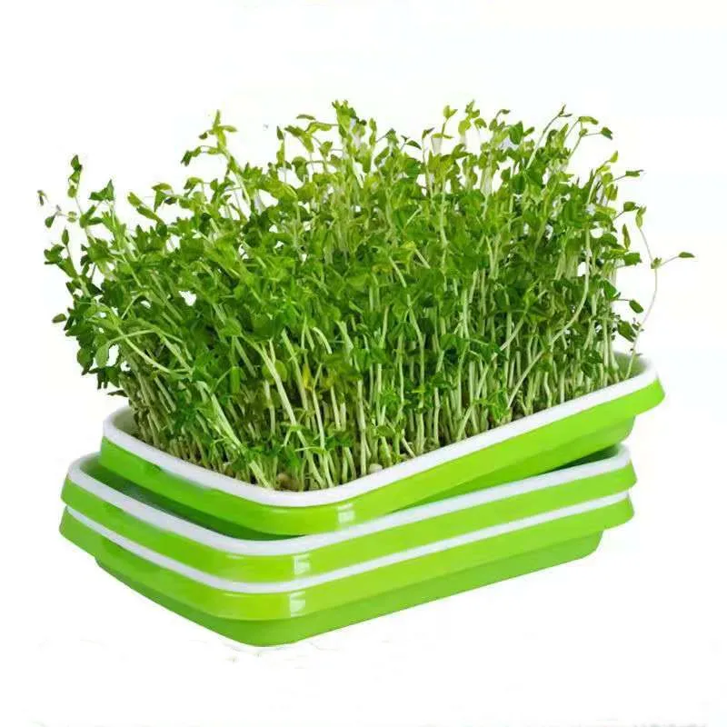 
Plastic seedling tray PP double bean sprouts seed tray biodegradable seed tray 