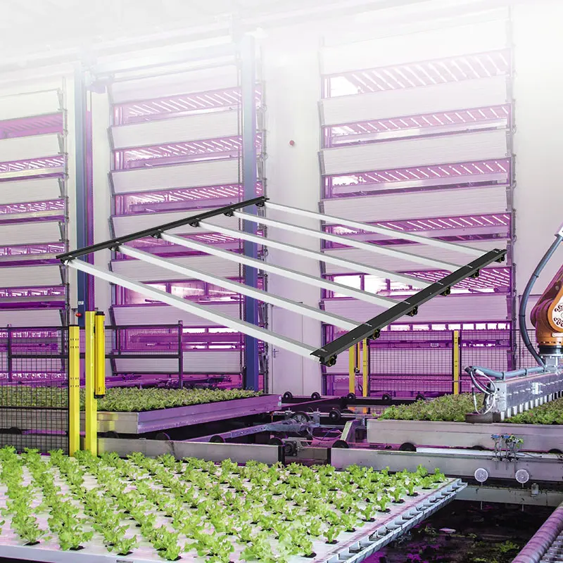 Full Spectrum LED Plant Lights for Indoor Plants Micro Greens  medical seedlings Bloom LED Grow Lights