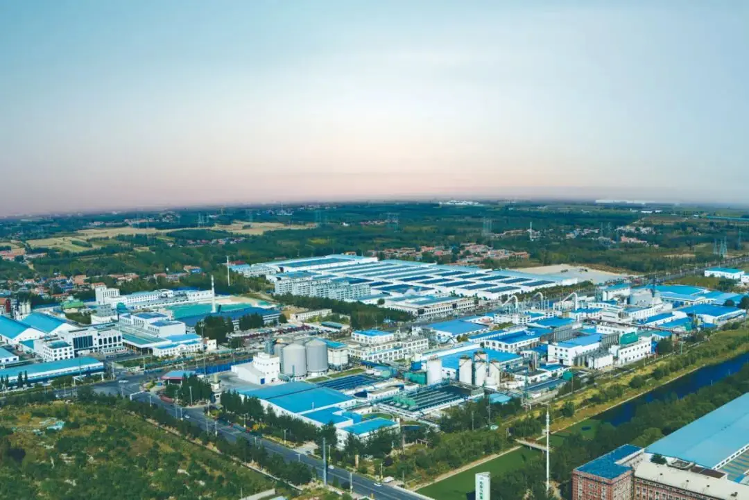 non gmo soluble corn fiber  90% min resistant dextrin for food additives