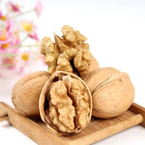 Top Quality Wallnut Wholesale Paper Raw 33 185 Walnut Bulk Price Big Walnuts In Shell