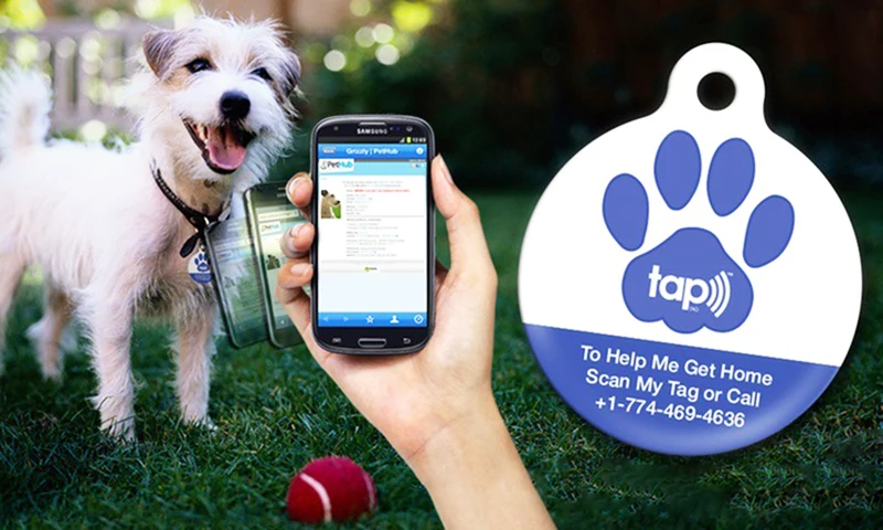 RFID QR Code NFC Tag Access Control Card Pet Tracking Metal Epoxy NFC Tag