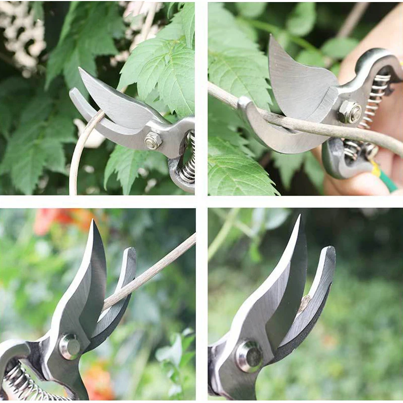 Pruner Orchard and The Garden Hand Tools Bonsai For Scissors Gardening Machine Chopper Pruning Shears Brush Cutter Professional