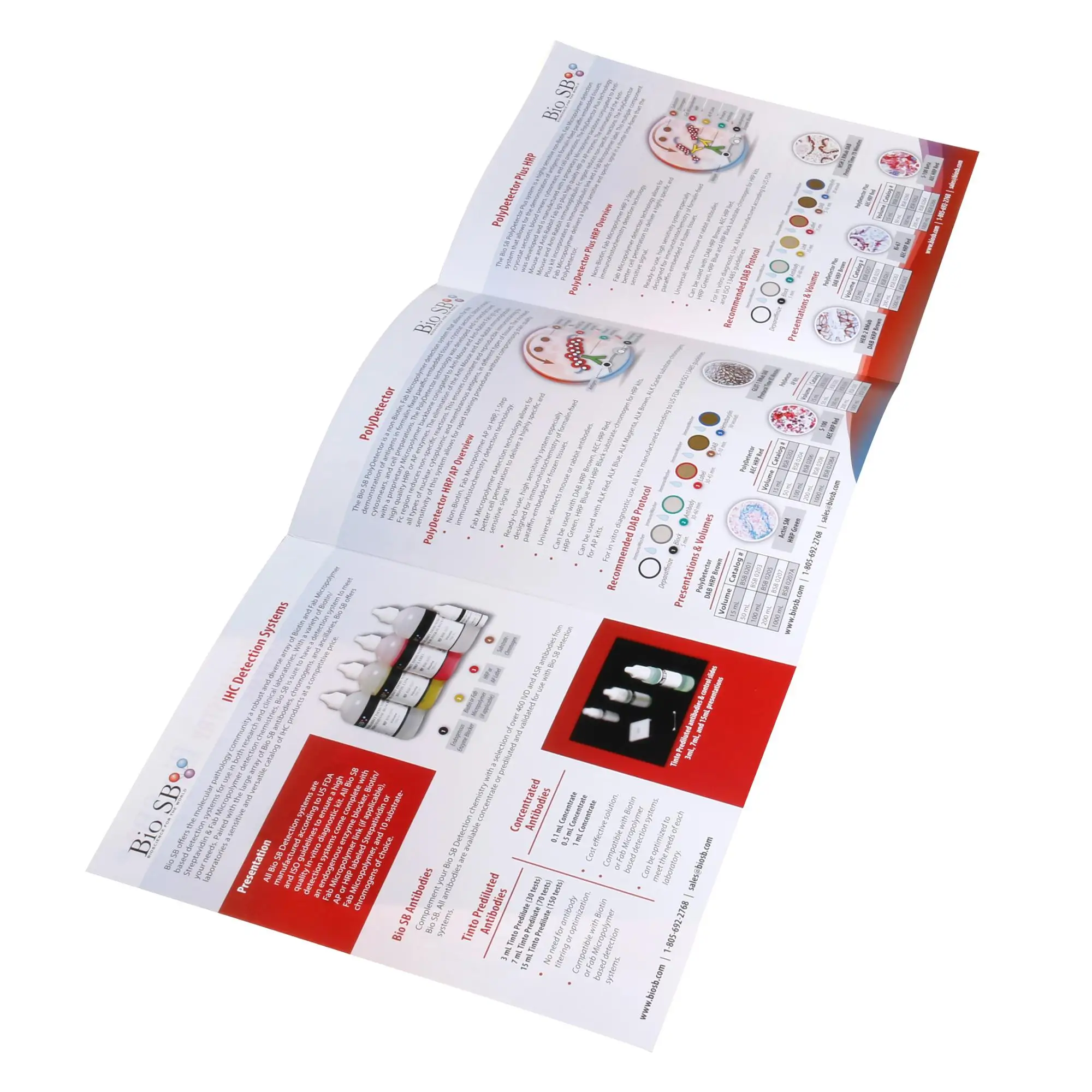 China Printing Service Adult Children Colour A4 Brochure Printing