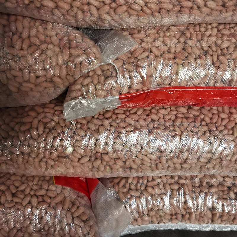 Хорошее качество завод высшего качества семена арахиса из Красной кожи Лучшая цена сырой арахис для приготовления пищи