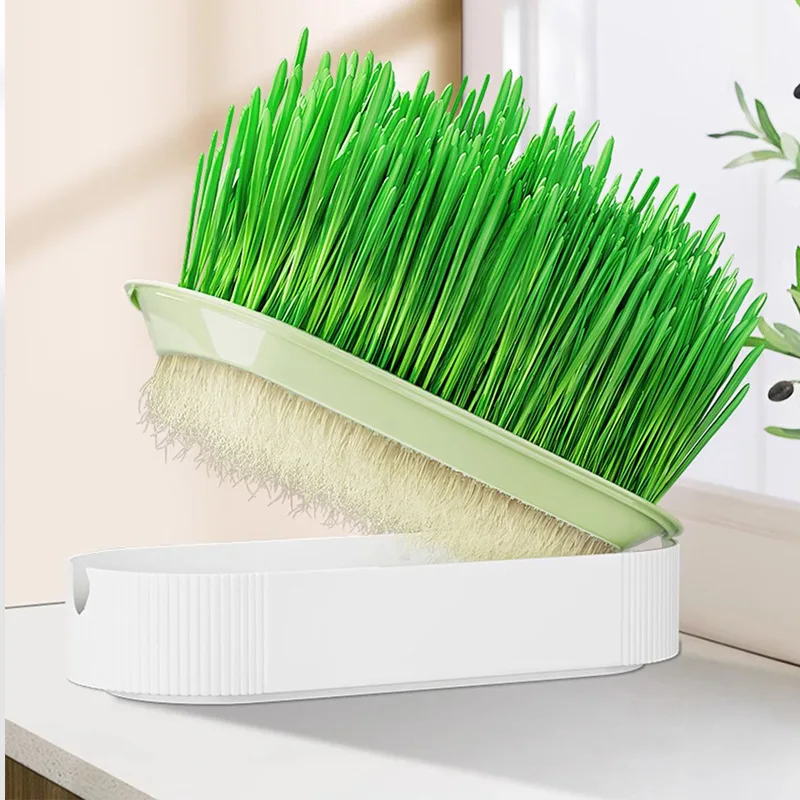 Pet Kitten Potted Plants Soilless Hydroponic Planting Growing Grass Pot Catnip Cat Grass Box Planter