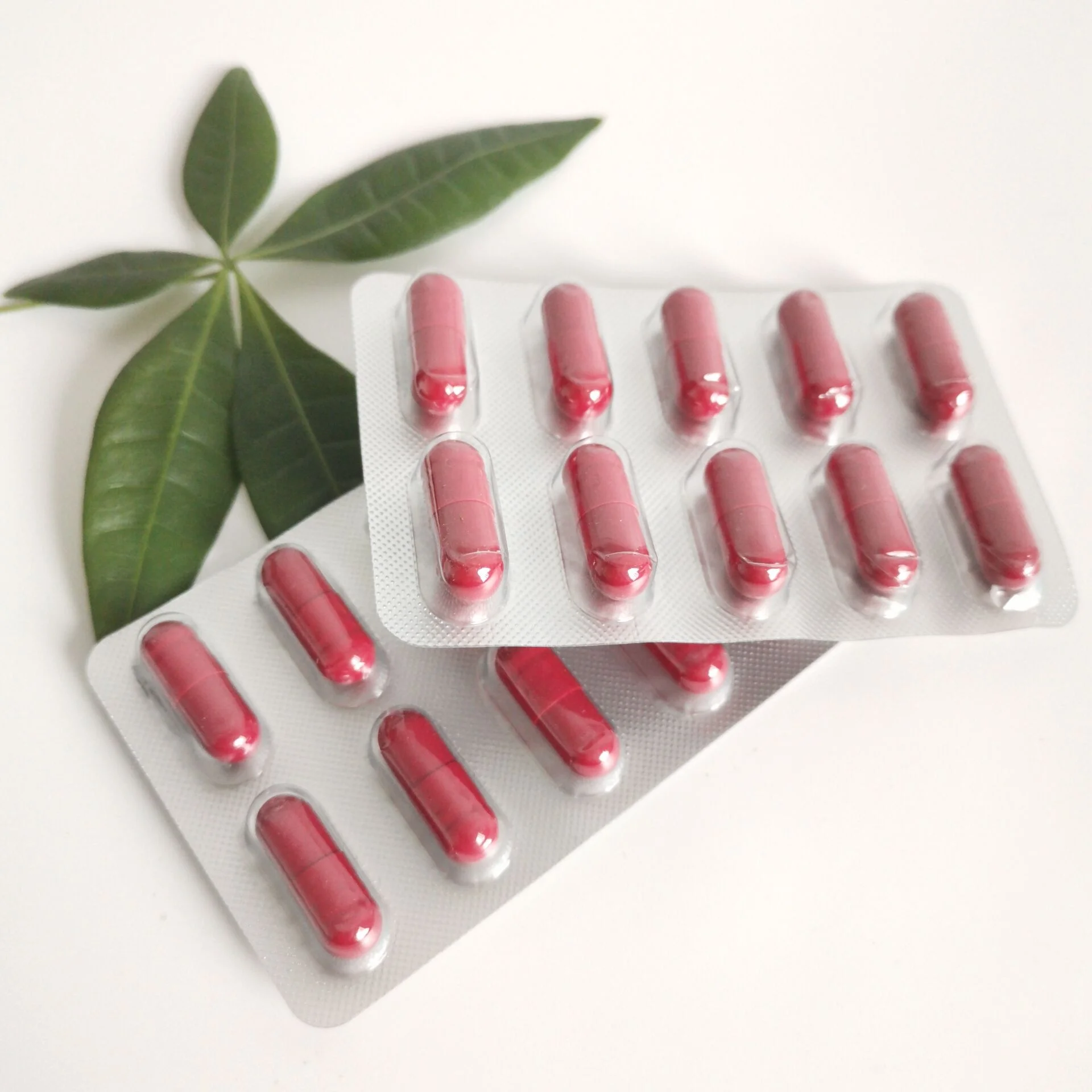 Blister Package Herbal Supplement Horny Goat Weed Epimedium Capsules For Men Health