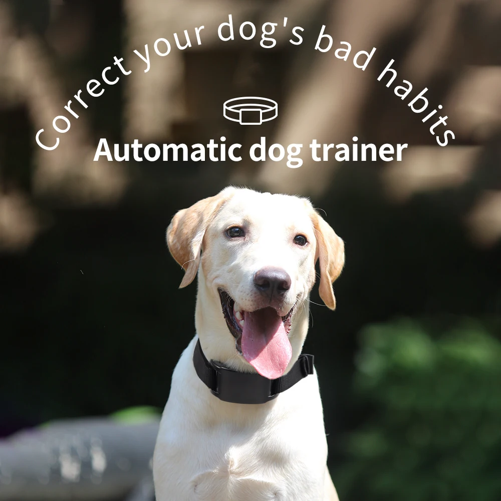 High Quality Electric Anti Barking Device Dog Training Collar Adjustable Ultrasonic No Barking Tone Shock Tool