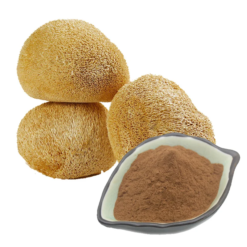 High Quality Pure Nautral Hericium Erinaceus lions Mane Mushroom Dried Hericium Erinaceus Mushroom Extract