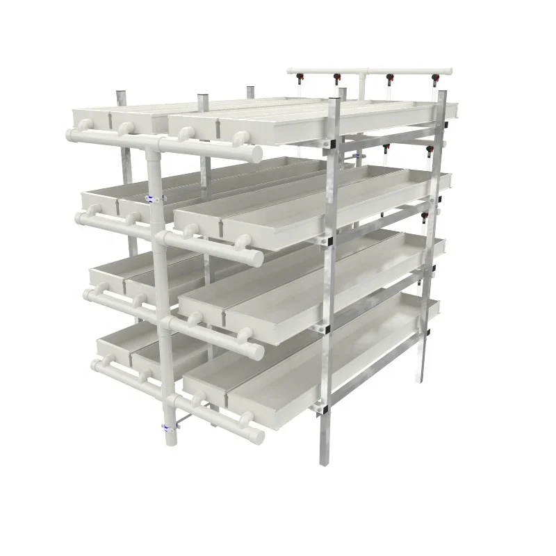 Poultry hydroponic green forage sprouted barley fodder system