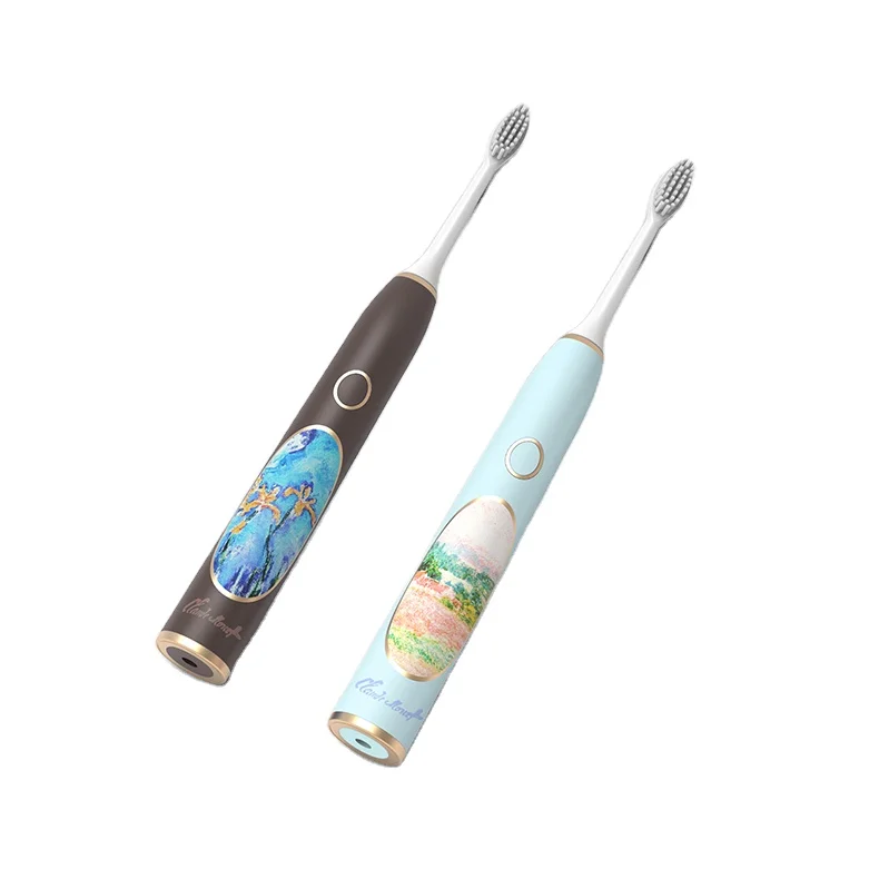 AIWO IPX7 Electric Toothbrush Waterproof Rechargeable Travel Toothbrushes Color OEM Electric Toothbrush For Adult