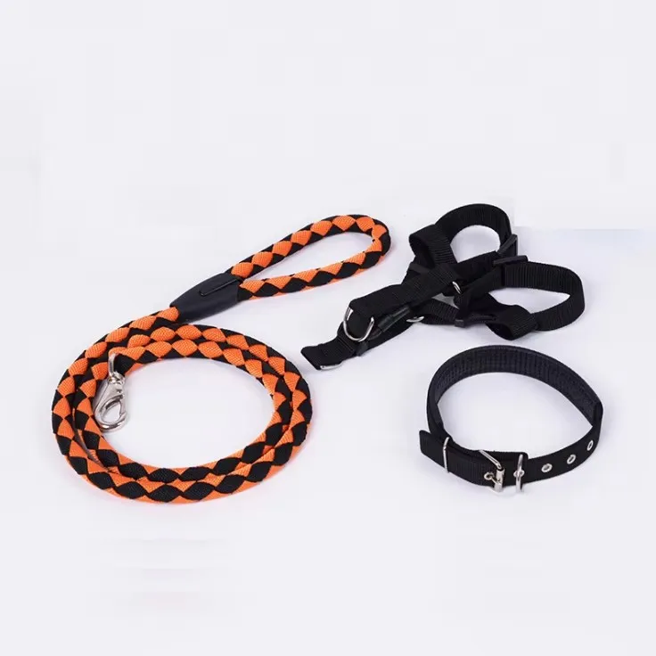 China new arrivals premium modern plain blue mini dog training running braided climbing short round rope strap tape collar leash