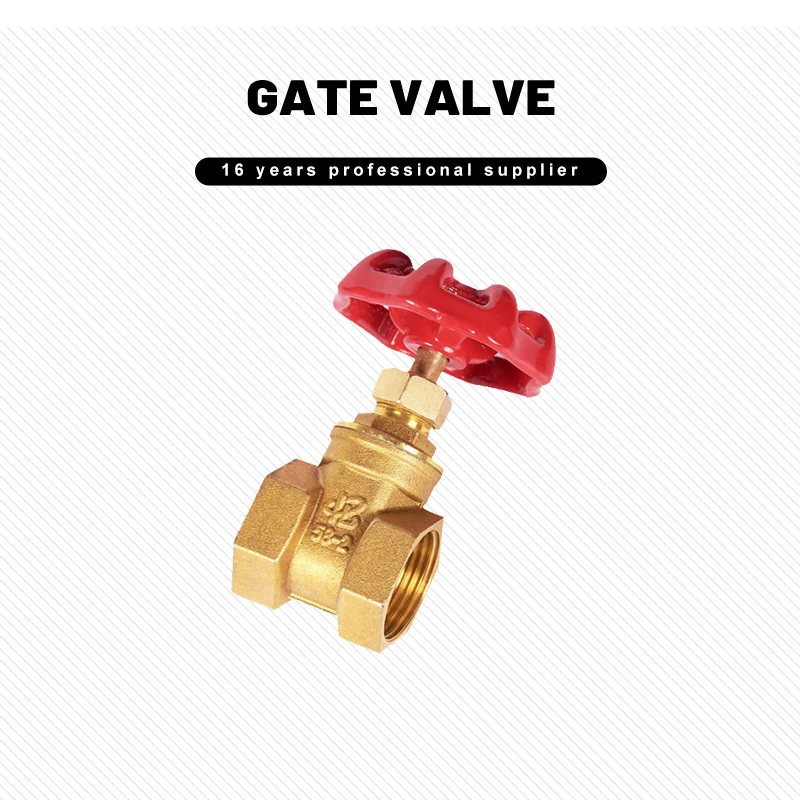 Made In China High Quality ASME DN20 Brass Internal Thread Gate Valve Manual Turbine Socket Welding Gate Valve Brass Gate Valve