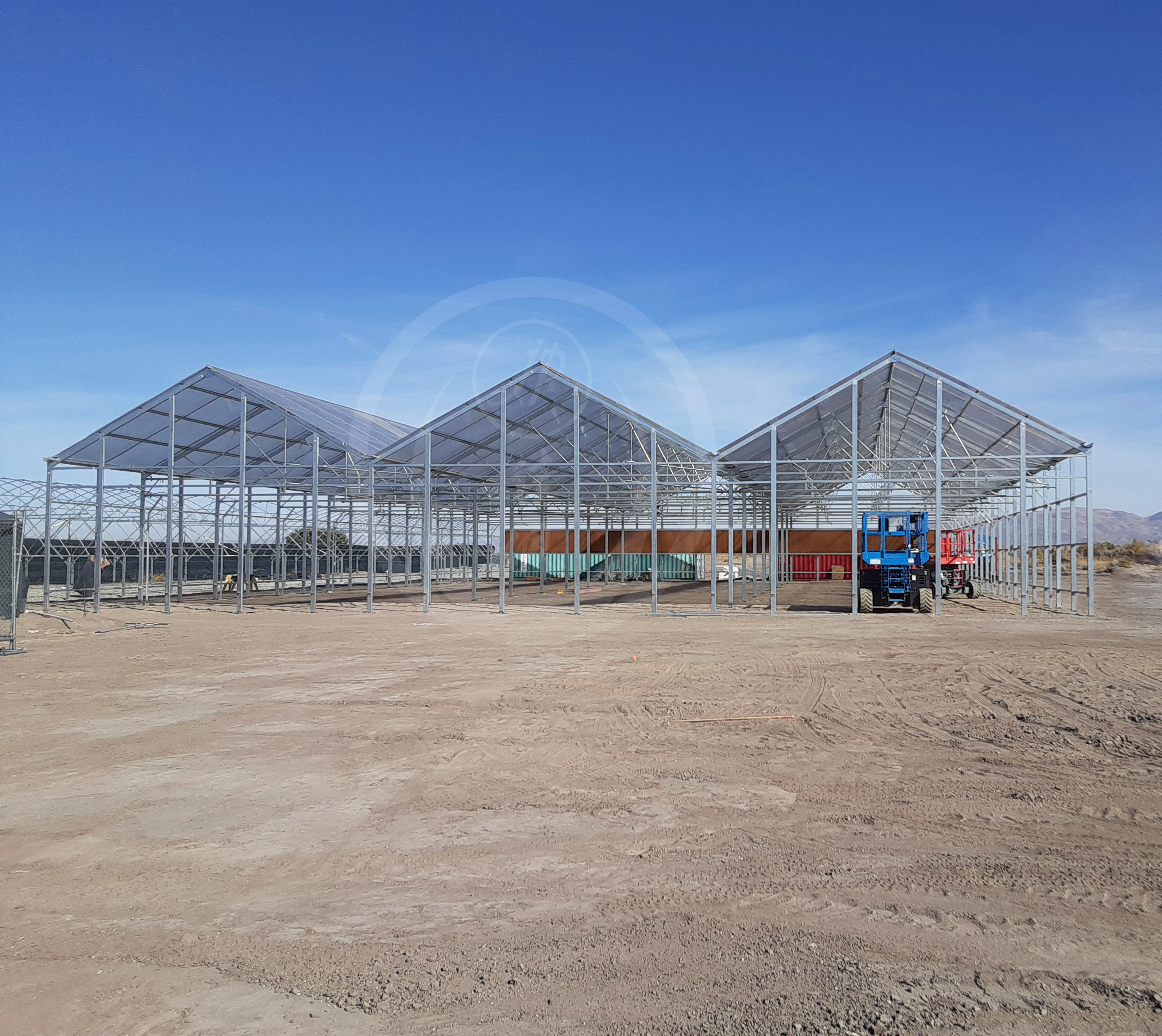 Pc Sheet Greenhouse Polycarbonate Agriculture Greenhouse Commercial Greenhouse  with Tomato Growing System Large