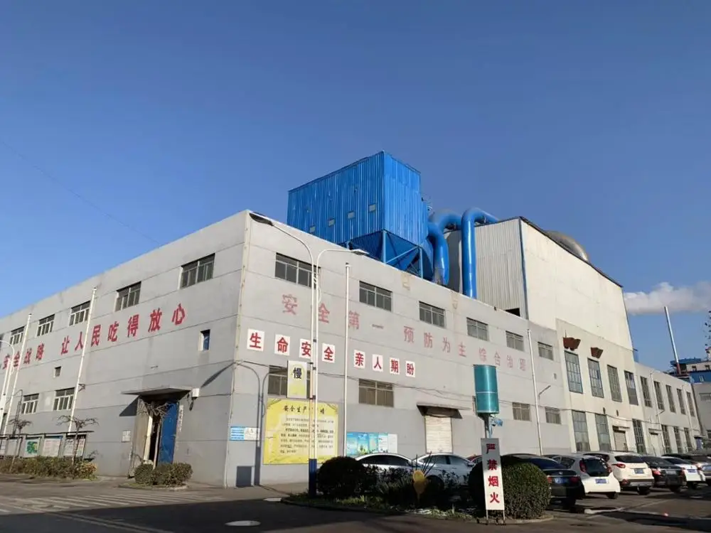 Wheat Gluten Granular