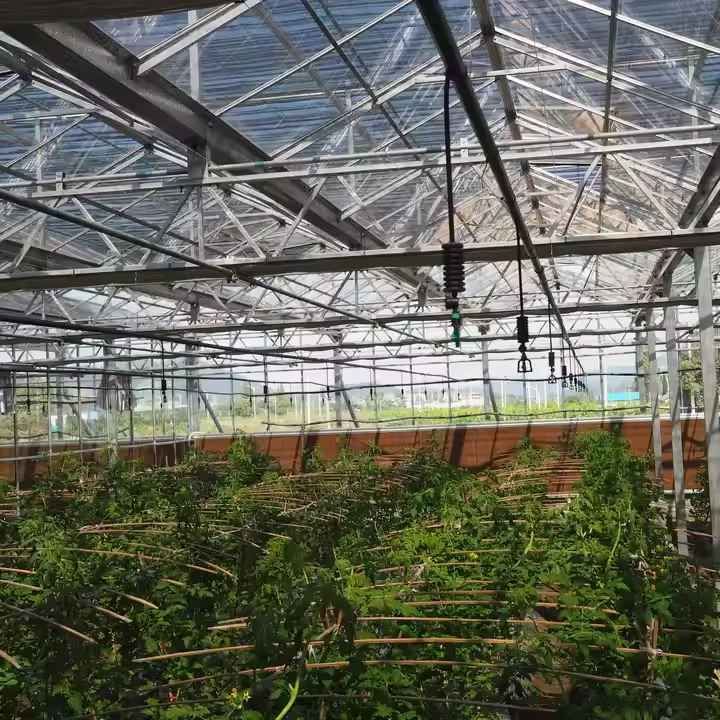 LJGG 2024 Automatic Agriculture Sprinkler Kits Plastic Hanging Stake Stand Type Drip Tape Irrigation for Farm Use