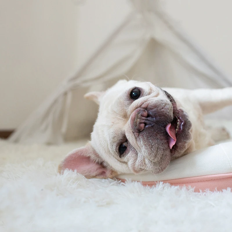 Wholesale manufacturer soft luxury plush dog blanket pink grey white pet blanket cat dog bed