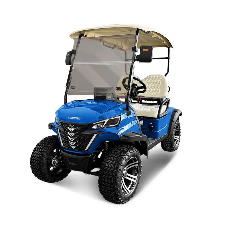 Trending Products High-Power 72V Lithium Battery Powered 2 Seats Electric Golf Cart Price for Sale