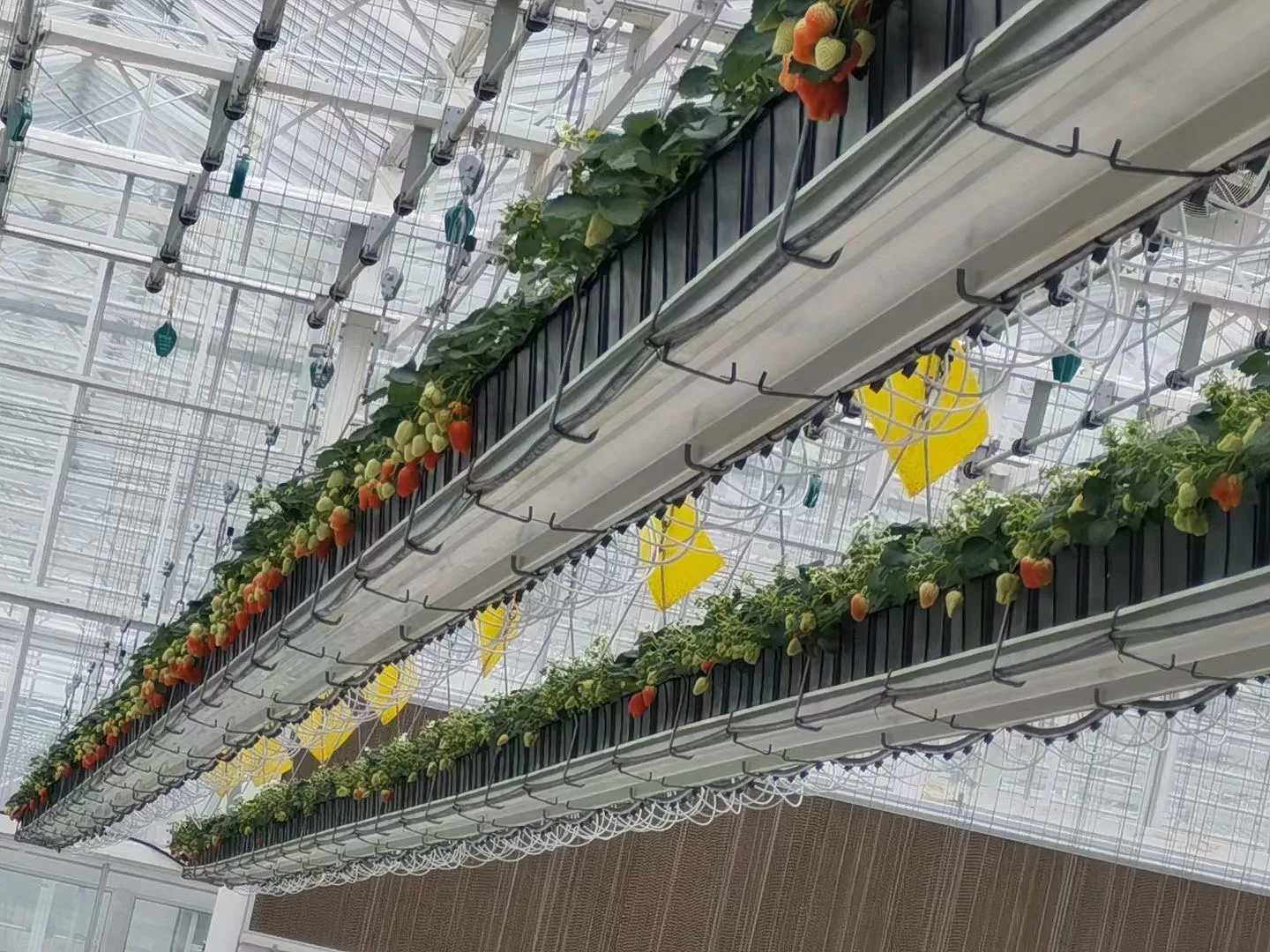 Greenhouse agricultural nft gully hydroponics growing system indoor farming for hydro-farm