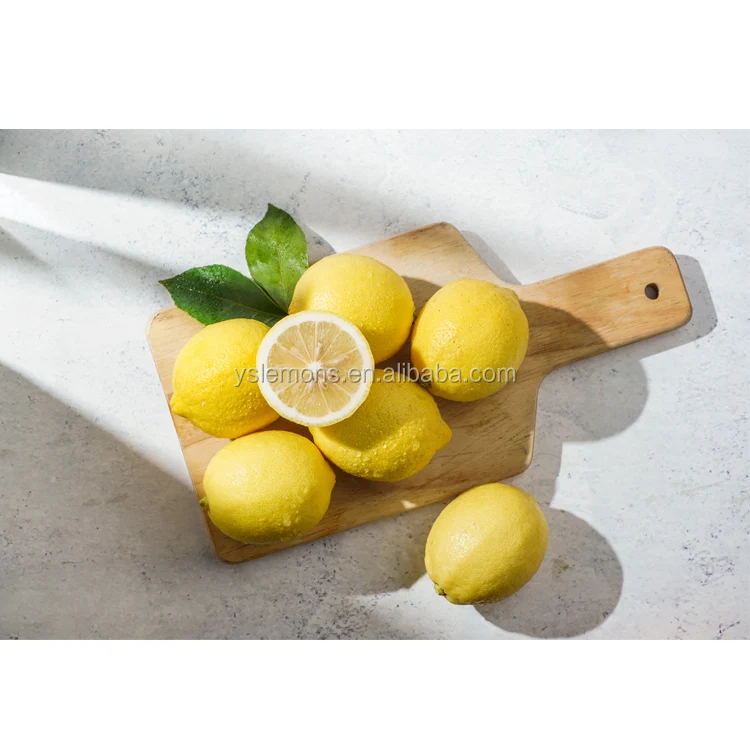Montale Global Supply Anyue Fresh Citrus Lemon