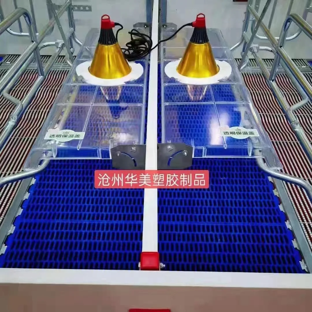 Factory direct supply of new pig farm equipment Pig farrowing room equipment
