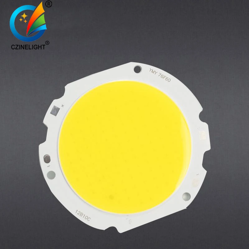 Czinelight лидер продаж светильник Cob Круглый чип 30 Вт 40 50 100
