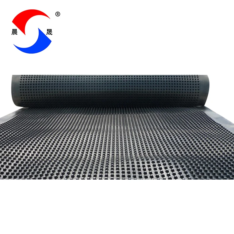 2mm green roof drainage mat composite drainage board drain board waterproofing