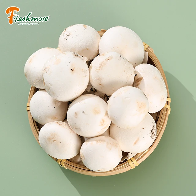 Finc grow spaw  agriculture mushroom fresh cottage white mushroom