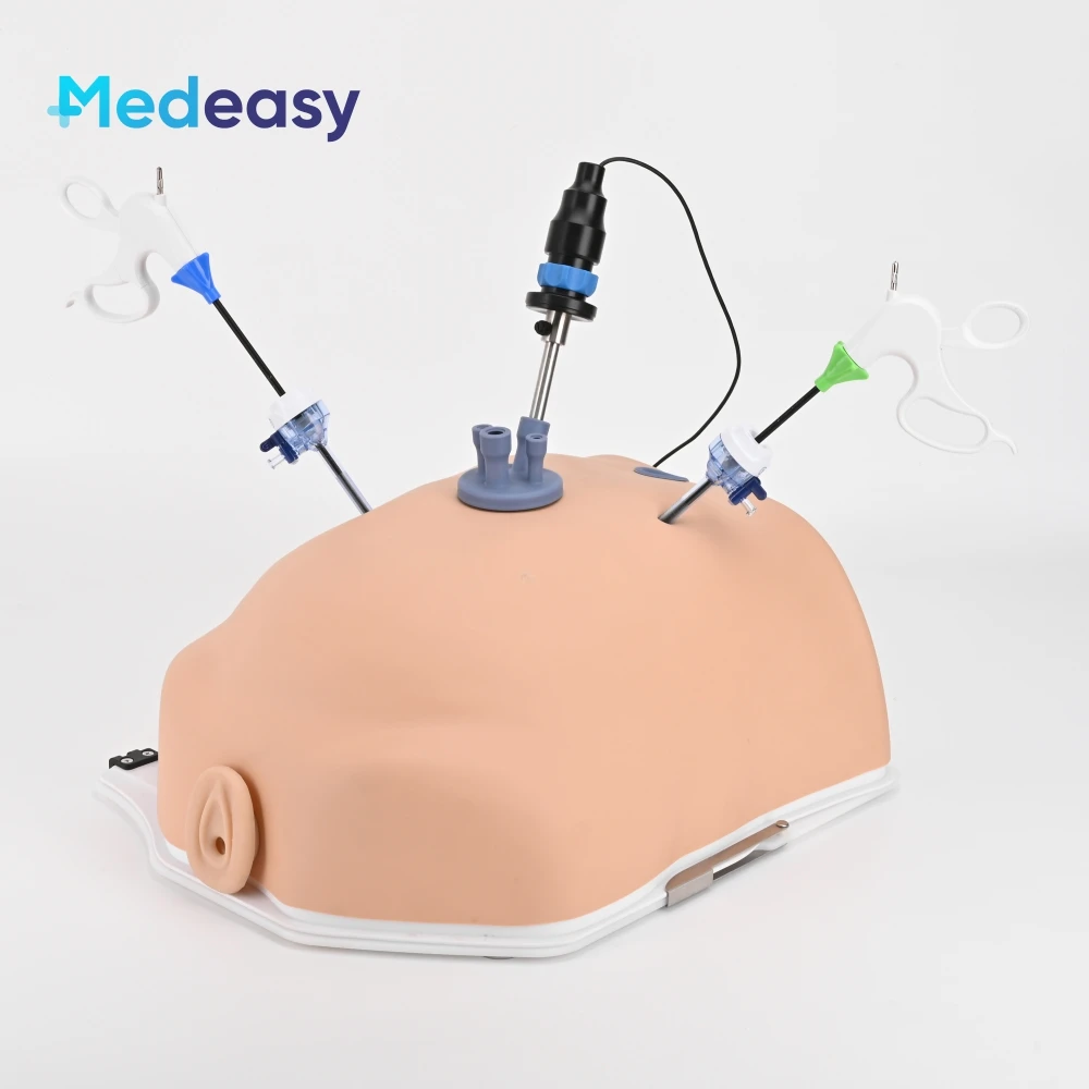 New Simulated Belly Laparoscopic Simulator Box Endotrainer with HD Camera and Gynecological Training Modules