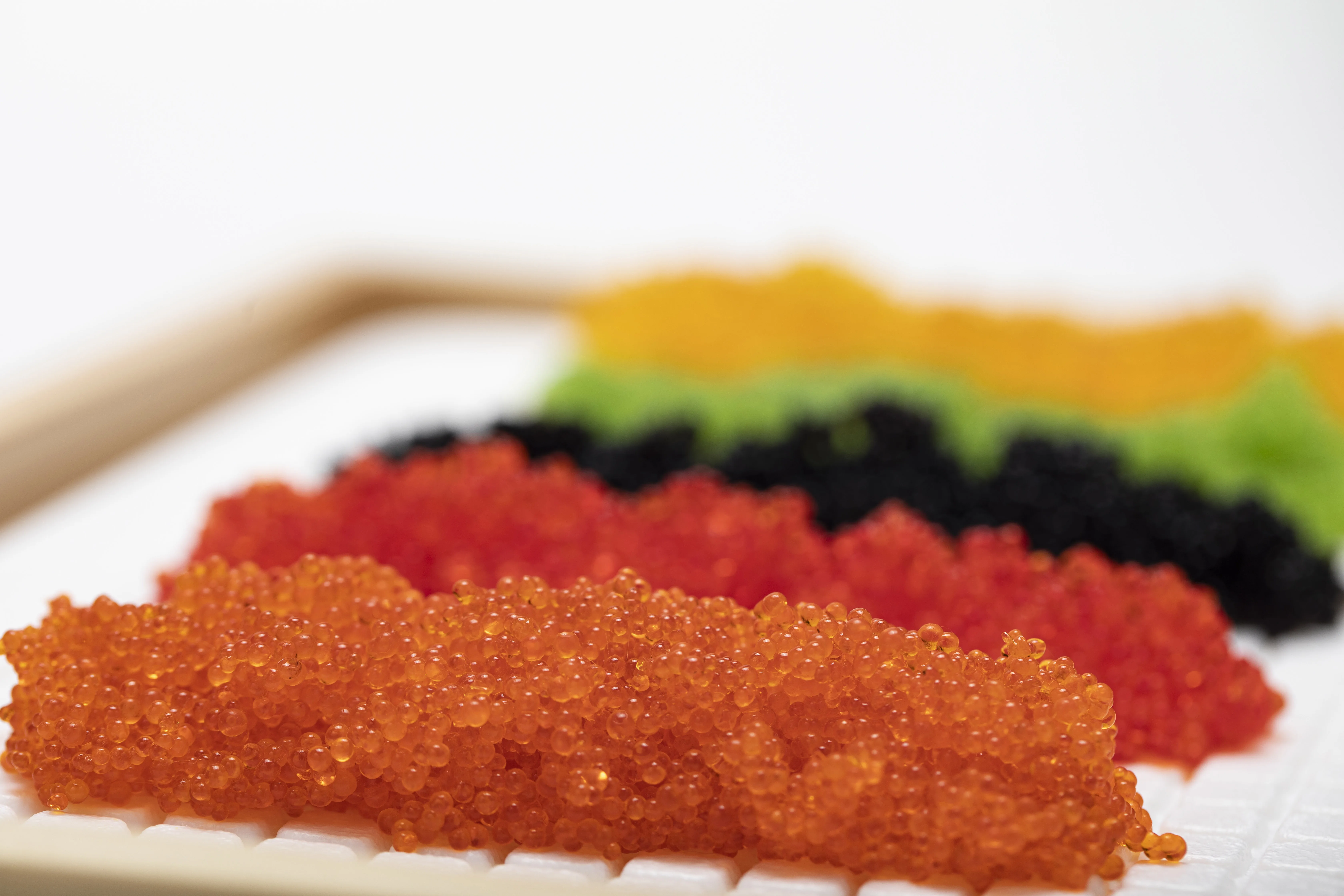 Hot Selling Healthy Japanese Food Material Frozen Boiled Octopus for Sale Natural Frozen Seafood Dried Octopus Baby Octopus