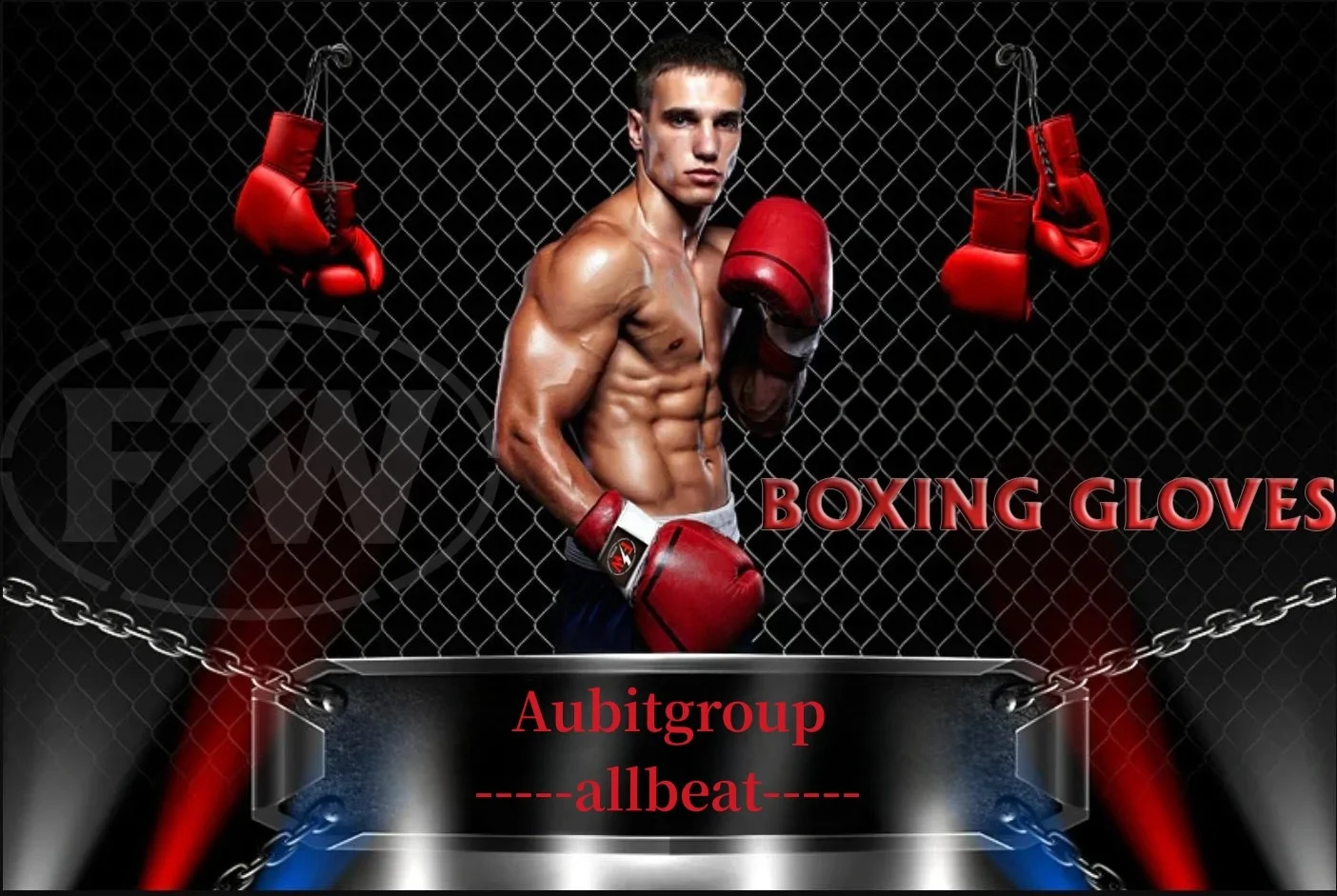 Weight and mma Martial Art Style boxing ring mat Custom UFC uses combat training octagon mma cage Boxing Ring