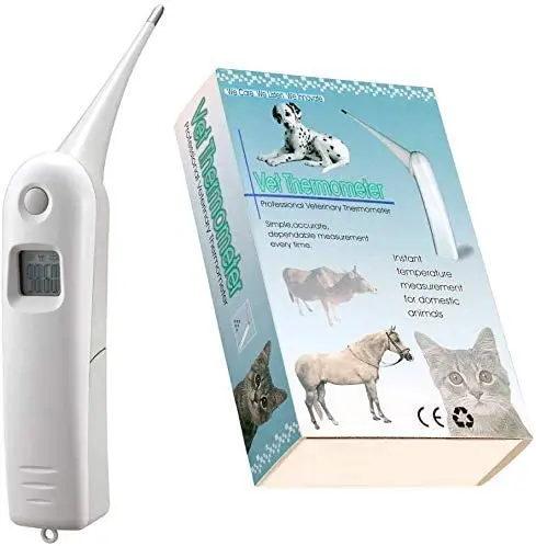 Accurate animal digital thermometer anal thermometer